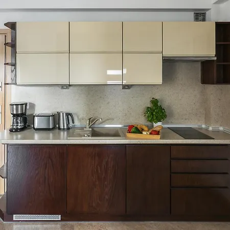 Pod Orlem Appartamento Zakopane